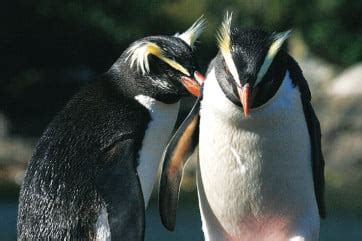 Nature & Wildlife - Things to do in New Zealand - Plan | Air New Zealand