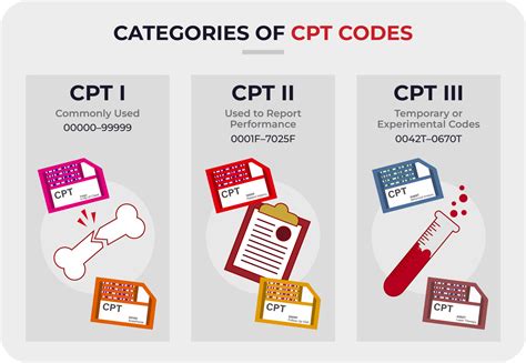 Introduction To Cpt Codes Cardiacdirect