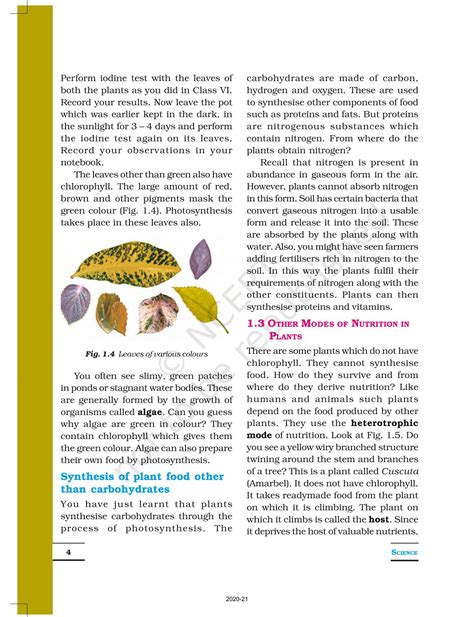 Nutrition In Plants NCERT Book Of Class 7 Science