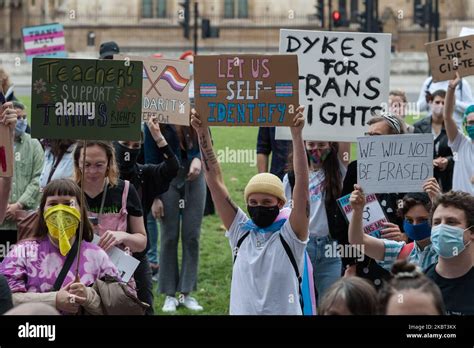 Las personas transgénero y sus partidarios se reúnen en Parliament