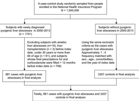 Flow Chart Showing The Selection Of Cases With Pyogenic Liver Abscesses Download Scientific