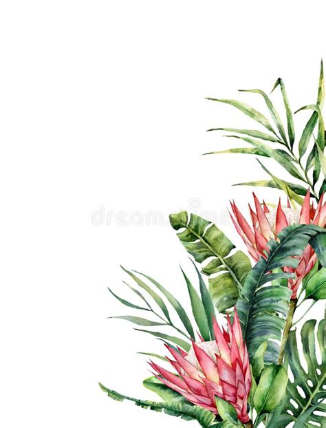 Tropische Blumen Und Palmblattkarte Des Aquarells Handgemalter Protea