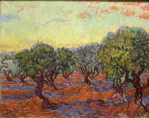 Vincent Van Gogh Olive Grove Creazilla