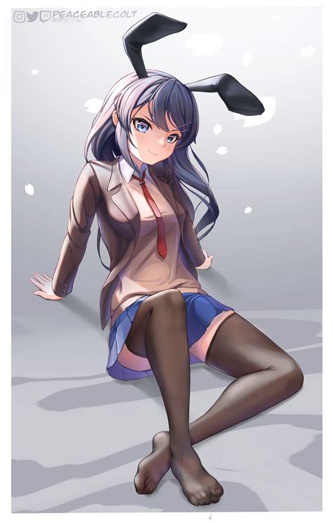 Sakurajima Mai Seishun Buta Yarou Series Image By Peaceablecolt