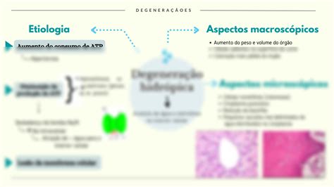 Solution Mapa Mental Resumido Degenera O Hidr Pica Patologia