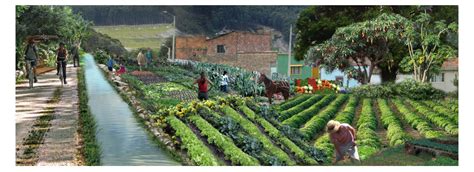 CORREDOR ECOLÓGICO DE LOS CERROS ORIENTALES Diana Wiesner