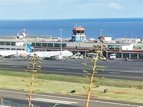 Sata Azores Airlines Inicia Hoje Voos Entre A Madeira E Nova Iorque