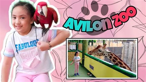 Trip To Avilon Zoo New Normal Feeding Animals Youtube