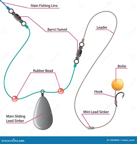 Best Carp Rigs Setups Carp Rig Diagrams 2023 Atelier Yuwa Ciao Jp