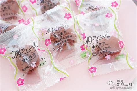 クセになる美味しさの濃厚スウィートなカリカリ梅！ “梅”と“宝塚”への愛が生み出した『梅ジェンヌ』 おためし新商品ナビ