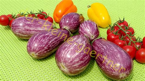 Gestreifte Violette Aubergine Sorte Tsakoniki 20 Samen Kaufen