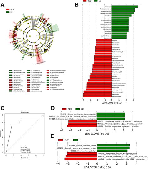 Identification Of Specific Bacterial Taxa And Microbial Functions