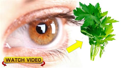 Juicing This Herb Helps These 9 Different Eye Problems Including Catara Eyes Problems Eye