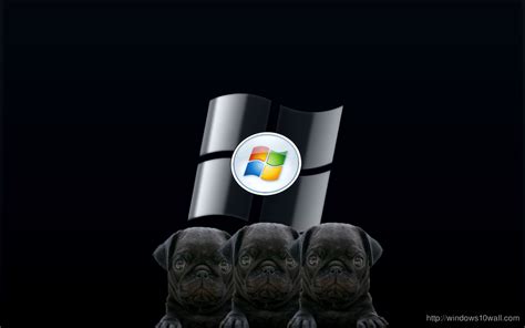 Dog Windows Background Wallpaper - windows 10 Wallpapers