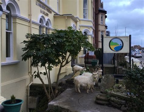 Amgueddfa Llandudno Museum On Twitter Rt Homefrontmuseum Caught In