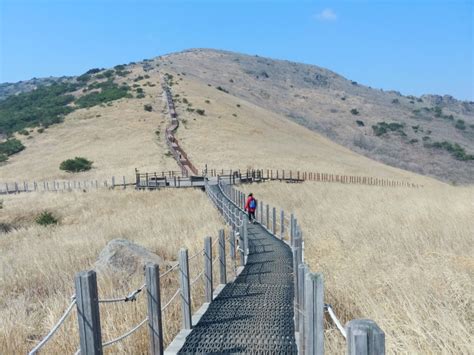 2023 영남알프스8봉 간월산 신불산 영축산 하루 3봉 도전 네이버 블로그