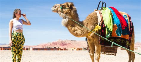 Requisitos Para Viajar A Marruecos Gu A De Viajes Aseguratuviaje