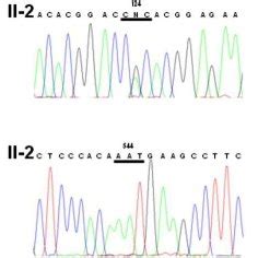 Genetic Analysis Of Tgfbi In The Proband And Her Two Sisters Direct