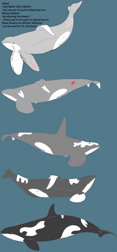 Orca Pod by RoseTheInkDemonWolf on DeviantArt