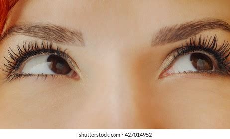 Beautiful Female Brown Eyes Long Eyelashes Stock Photo Edit Now