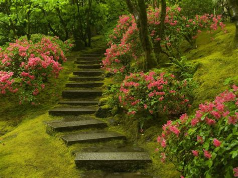 Japanese Garden Washington Park Wallpapers | HD Wallpapers | ID #6298