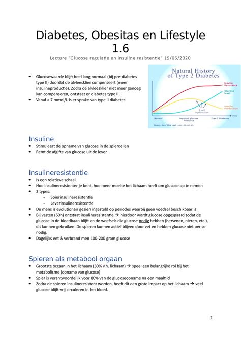 Glucose Regulatie En Insuline Resistentie Diabetes Obesitas En