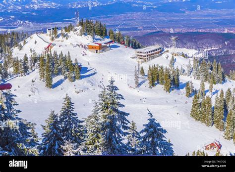 Bradul Fotos und Bildmaterial in hoher Auflösung Alamy