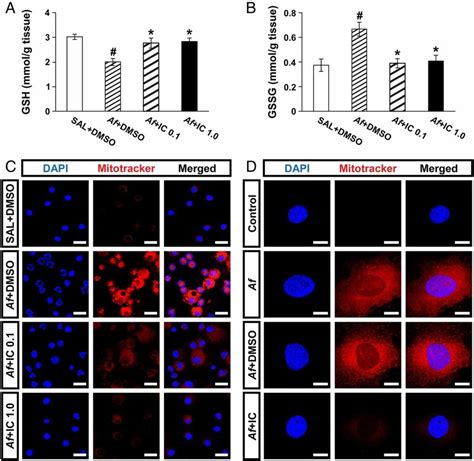 Phosphoinositide Kinase Pi K Regulates Aspergillus Fumigatus