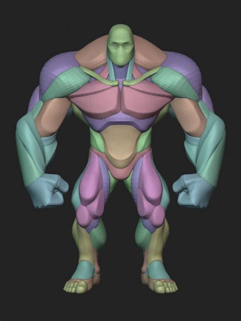 ArtStation Stylized Hero Anatomy Blockout V2 Anatomy Zbrush