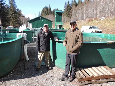 Blog about our hatchery