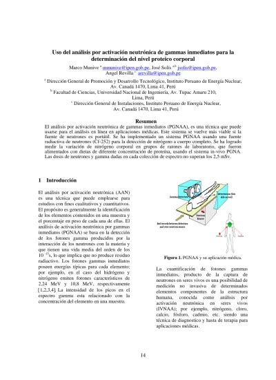 Uso del análisis por activación neutrónica de gammas inmediatos para la