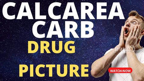 Calcarea Carb Drug Picture Calcarea Carb Homeopathic Medicine