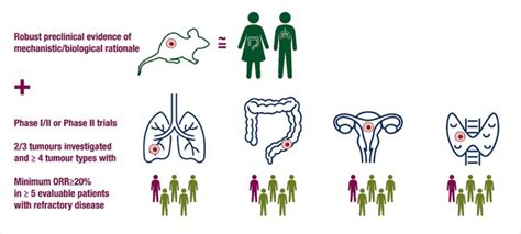 Tumour Agnostic Authorised Indications By FDA And EMA OncoDaily