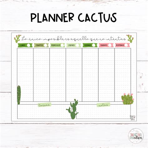 Planner Cactus Imagina Crea Educa