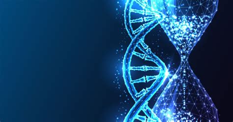 The Basics Of Epigenetic Age Testing And How To Use It To Support Long