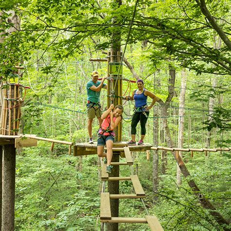 Go Ape Zipline And Treetop Adventures Learn More