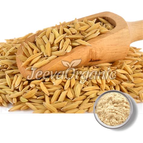 Best Rice Bran Powder Suppliers | Bulk Rice Bran Powder Supplier