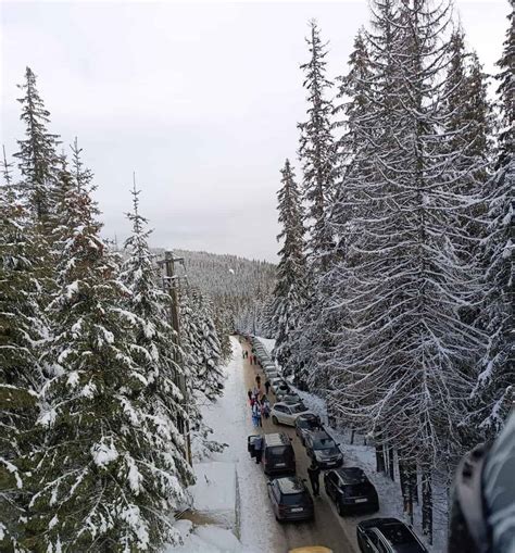 FOTO Trafic de coșmar pe drumul care duce la stațiunea Buscat din Cluj