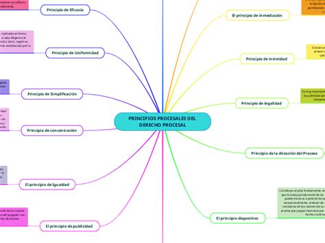 Principios Procesales Del Derecho Procesal Mind Map