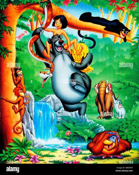 The Jungle Book From Top Baghhera Panther Mowgli Baloo Bear