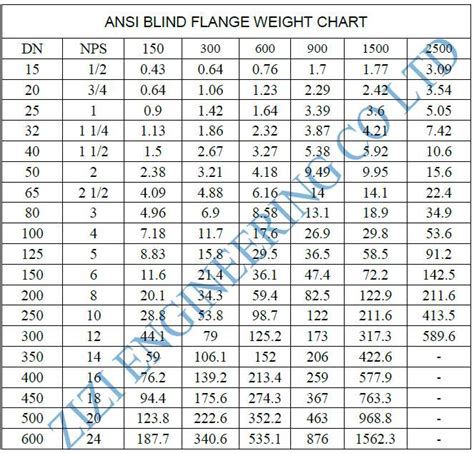 Roestvrij Staal Blinde Flens 300 SS304L BL Rf ASME B16 47 Blinde Flens 4