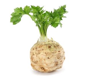 Celery Root