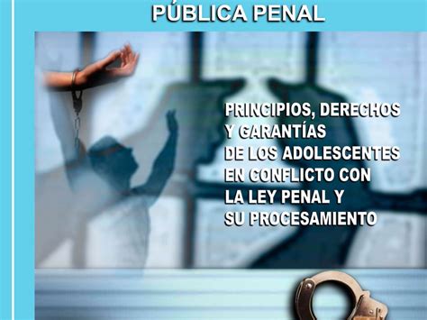 Instituto de la Defensa Pública Penal IDPP Biblioteca Digital del