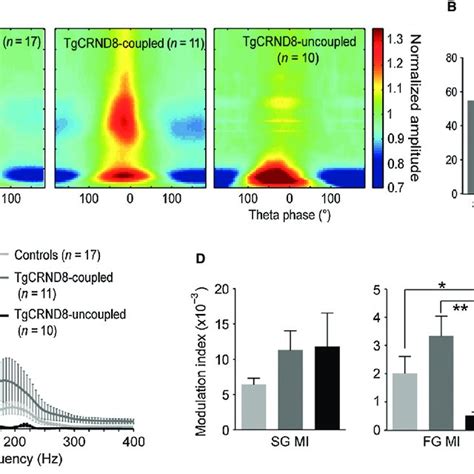 Cfc In Month Old Tgcrnd Mice A Cfc Between Theta Phase And Gamma