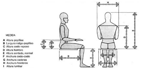 Dimensiones Antropom Tricas Fundamentales Que Se Necesitan Para El
