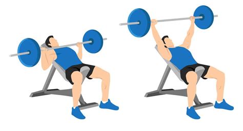 Top 12 Upper Chest Exercises For Muscle Mass Gymcompare