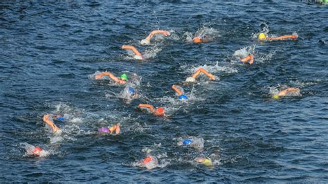 Ahead Of Paris Olympics Triathletes Swim In Seine Ctv News