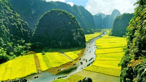 From Hanoi Tam Coc Hoa Lu Mua Caves Full Day Trip Getyourguide