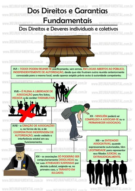 Artigo5º Direitos E Garantias Fundamentais Constituição Federal