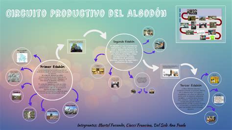 Circuito Productivo Del Algodon Circuito Algodon Actividades